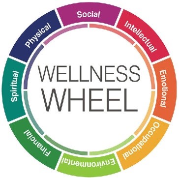 Wellness wheel diagram with social, intellectual, emotional, occupational, environmental, financial, spiritual and physical